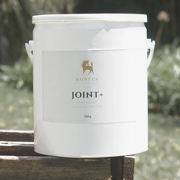 Envase KOBYLA JOINT PLUS